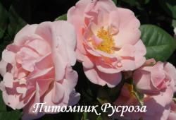 ASTRID LINDGREN (Астрид Линдгрен)